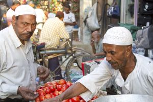 tomato seller sm.jpg